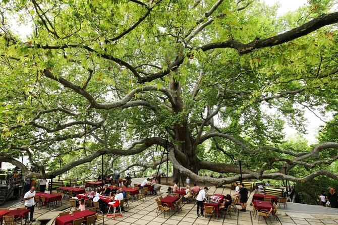 Full Day Guided Tour to Bursa with Lunch and Cable Car - Why Uludag makes this day trip appealing