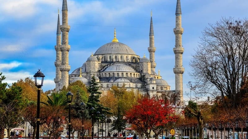 Full Day Istanbul 1, 2 or 3-Day Private City Guided Tour - Transport, walking, and the real cost