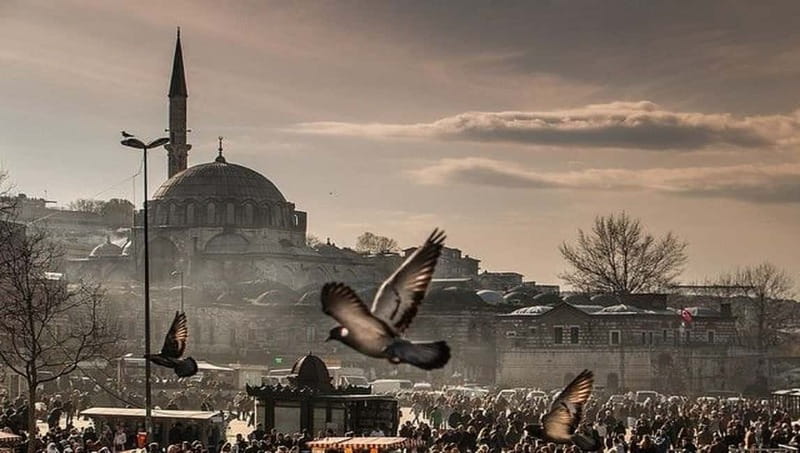 Full Day Istanbul 1, 2 or 3-Day Private City Guided Tour - Day one: the monuments of Sultanahmet