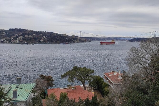 Full Day Istanbul Bosphorus Cruise and Dolmabahce Palace Tour with Private Guide - Dolmabahce Palace and the Ottoman court’s final style