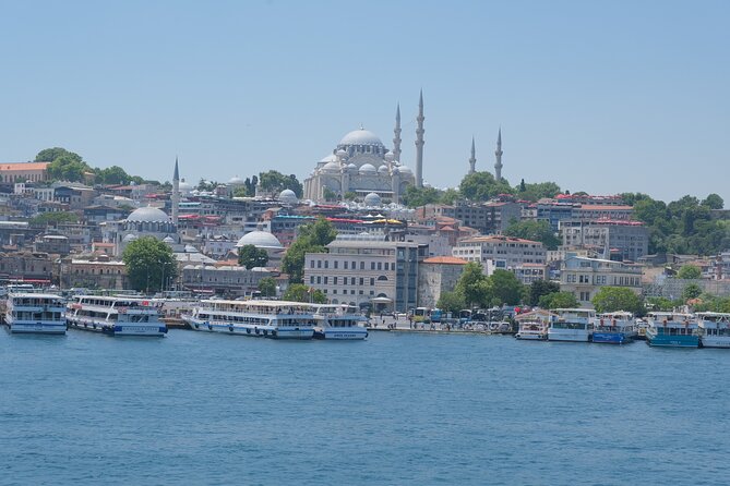 Full Day Istanbul Bosphorus Cruise and Dolmabahce Palace Tour with Private Guide - What public transportation means for your day