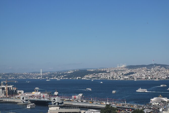 Full Day Istanbul Bosphorus Cruise and Dolmabahce Palace Tour with Private Guide - The private guide makes the difference