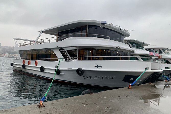 Full-Day Princes Island Tour with Lunch from Istanbul - The Boat Crossing Across the Marmara Sea