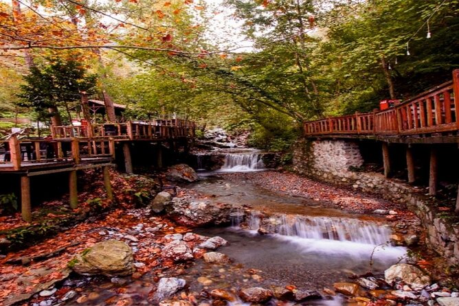 Full-Day Tour in Maşukiye and Sapanca with Pick Up - Who should book this outing