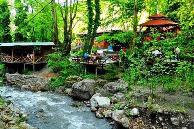 Full Day Tour in Sapanca & Masukiye from Istanbul - What this day trip adds to an Istanbul visit