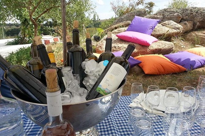 Full-Day Wine Tour from Istanbul - Chamlija Winery Above the Strandja Foothills