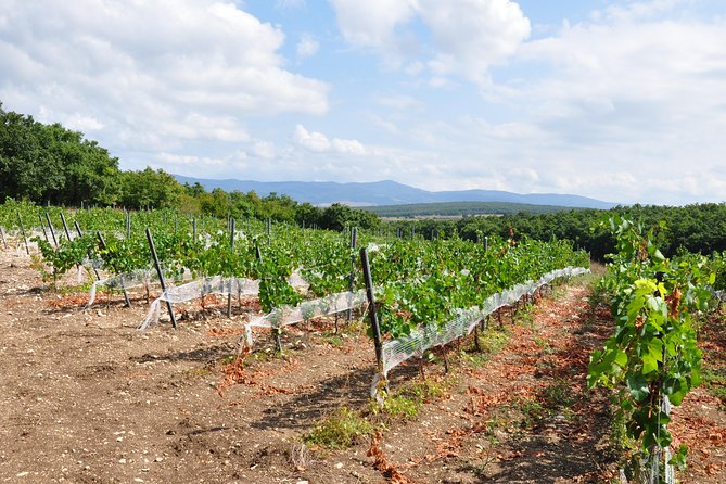 Full-Day Wine Tour from Istanbul - Is $457.41 a Fair Price?