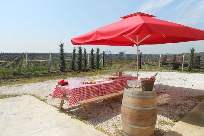 Full-Day Wine Tour from Istanbul - Practical Details Before You Book
