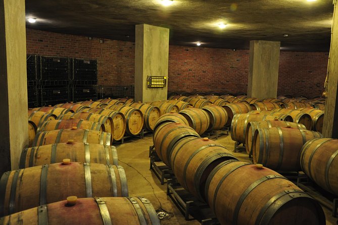 Full-Day Wine Tour from Istanbul - Should You Book the Kirklareli Wine Tour?