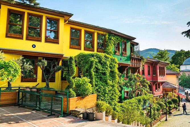 Green Bursa and Uludağ Tour from Istanbul - Leaving Istanbul for Green Bursa
