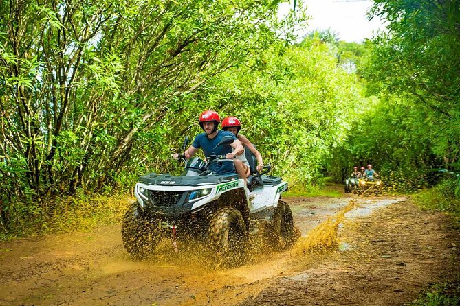 Green Bursa and Uludağ Tour from Istanbul - Comfort, group size, and the return ride