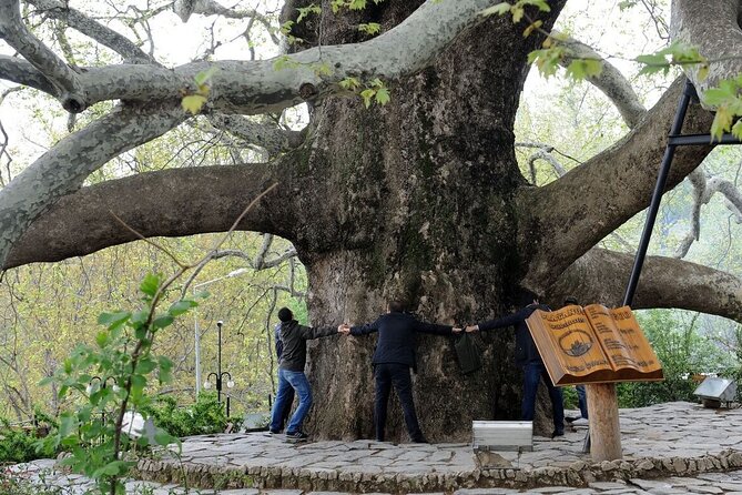 Green Bursa and Uludağ Tour from Istanbul - Who should book this Bursa day trip?