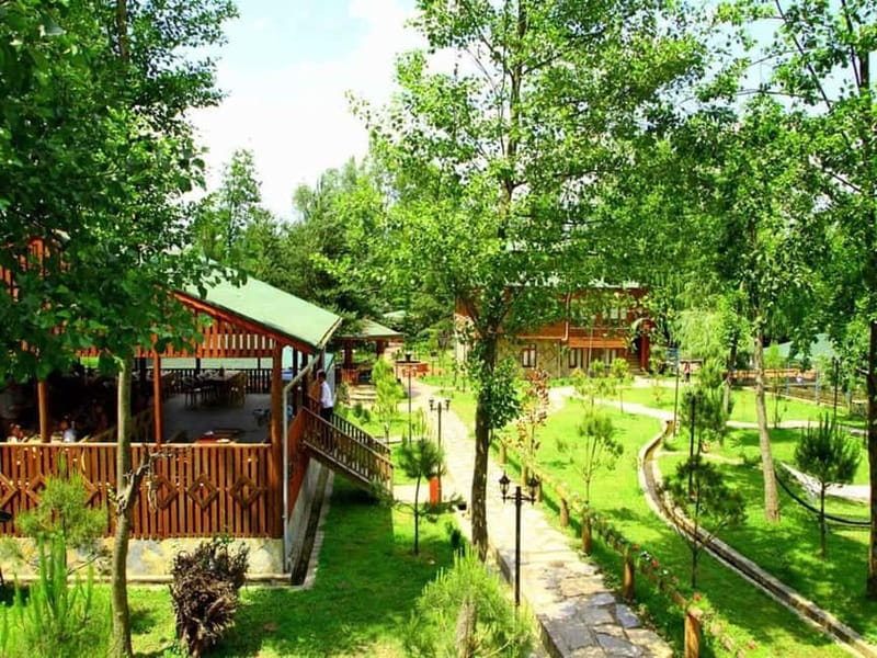 Guided Day Trip to Sapanca and Masukiye From Istanbul - Key points to know before booking