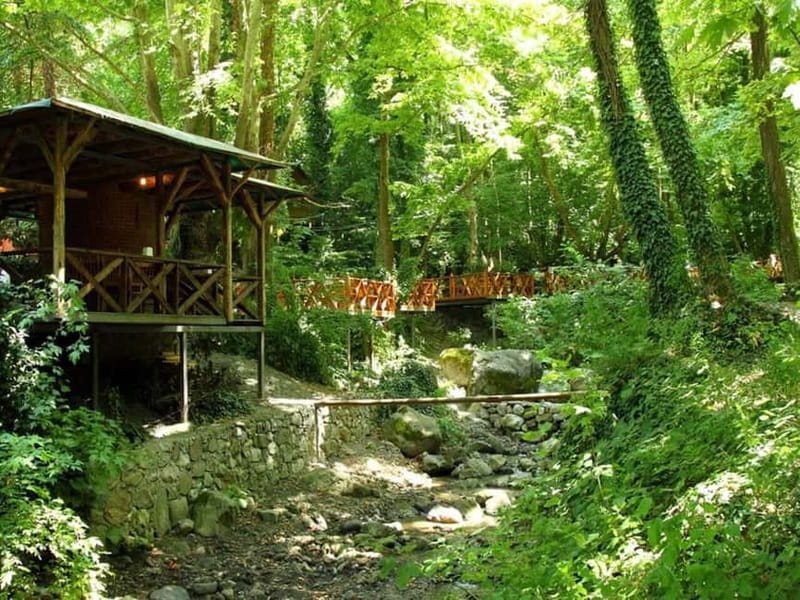 Guided Day Trip to Sapanca and Masukiye From Istanbul - Masukiye Waterfall is a short nature visit