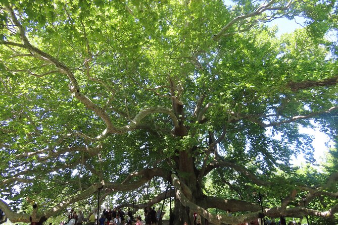 Guided Green Bursa Tour with Cable Car From Istanbul to Uludag - Why this Bursa day trip works