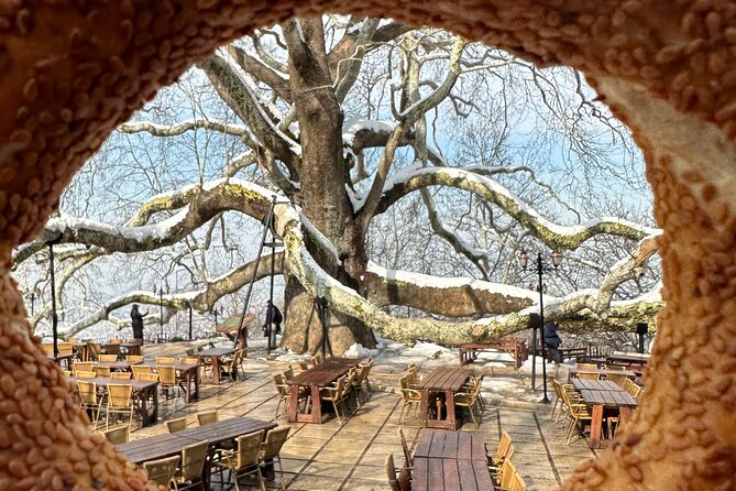 Guided Green Bursa Tour with Cable Car From Istanbul to Uludag - Riding the cable car into Bursa
