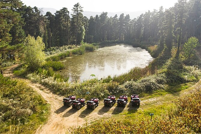 Guided Sapanca and Masukiye Full Day Tour from Istanbul - Darica Zoo or the Lion Park and Aquarium
