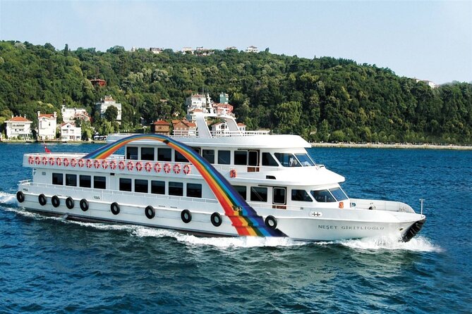 Hagia Sophia, Bosphorus cruise, Blue Mosque, Guided - Small Group - Hagia Sophia: allow for the extra admission cost