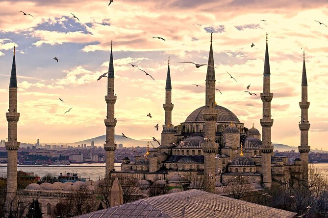 Hagia Sophia & Hippodrome Guided Tours Everyday - The Blue Mosque in a 30-minute visit