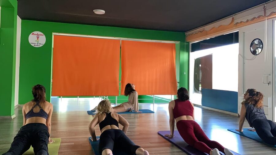 Healthy Istanbul Morning: Yoga and Healthy Turkish Breakfast - Is $45 a Fair Price?