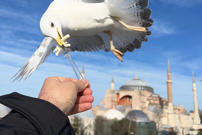 Imperial Traces of Istanbul – Private Guided Signature Tour - Ending at the Blue Mosque