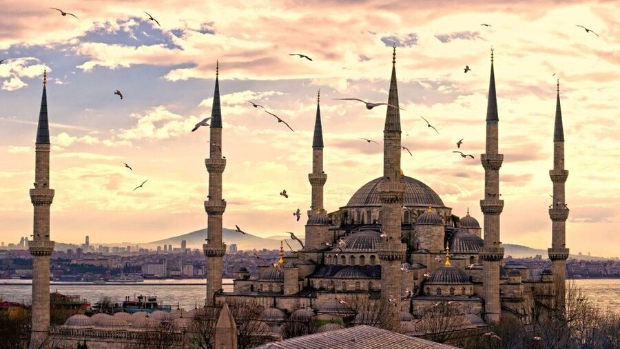Istanbul: 3-Day Tours & Transfer Package - Airport pickup and the first evening on the Bosphorus