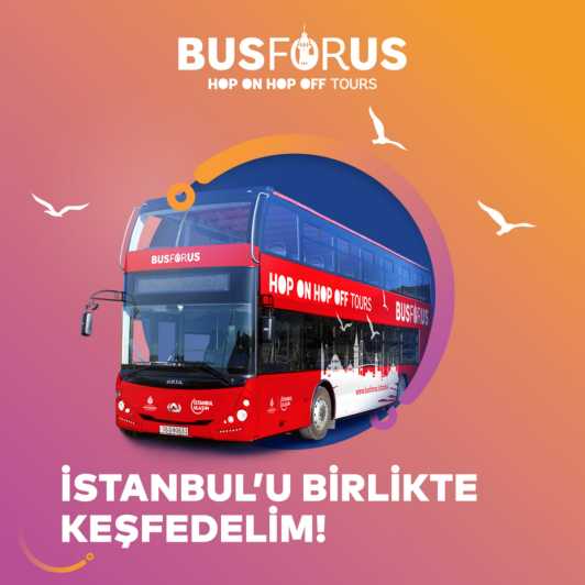 Istanbul: 48-Hour Hop-On Hop-Off Double Decker Bus Ticket - What the 48-hour ticket really gives you