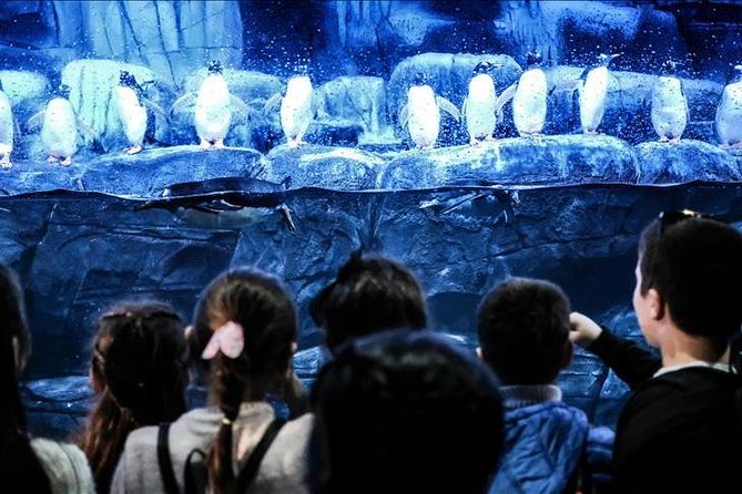 Istanbul Aquarium and Aqua Florya Independent Shopping Trip - Istanbul Aquarium is the main reason to go