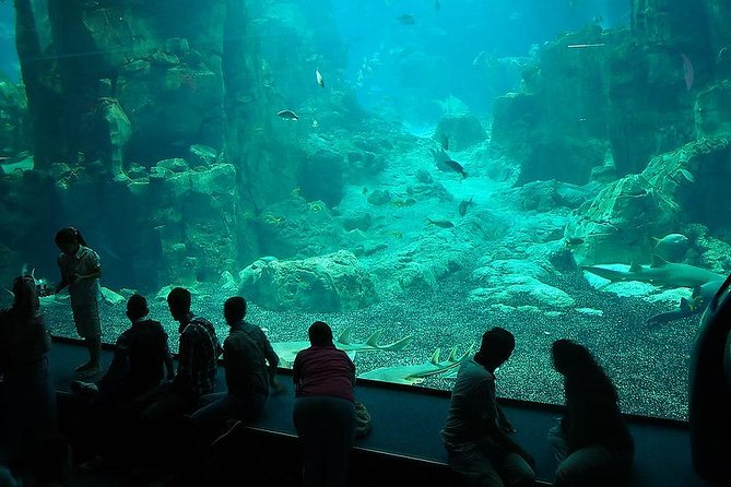 Istanbul Aquarium and Aqua Florya Independent Shopping Trip - The coach transfer is useful, but the price changes the calculation
