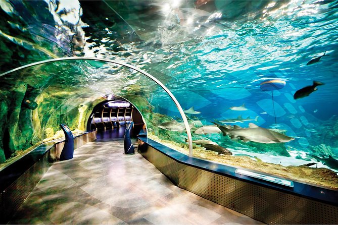 Istanbul Aquarium and Aqua Florya Independent Shopping Trip - The 5D movie is optional and costs extra