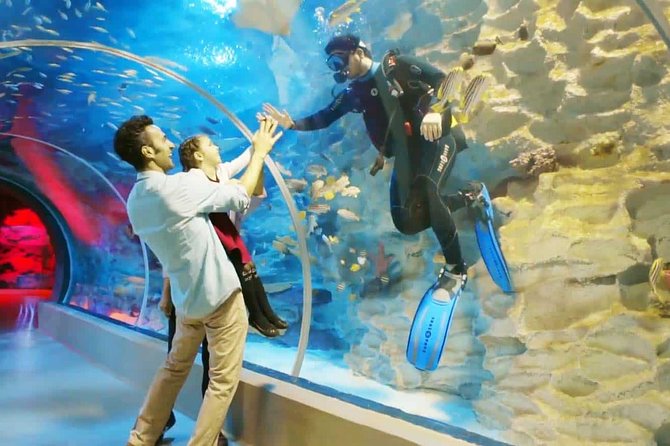Istanbul Aquarium and Aqua Florya Independent Shopping Trip - Sharks and overhead tunnels provide the big moments
