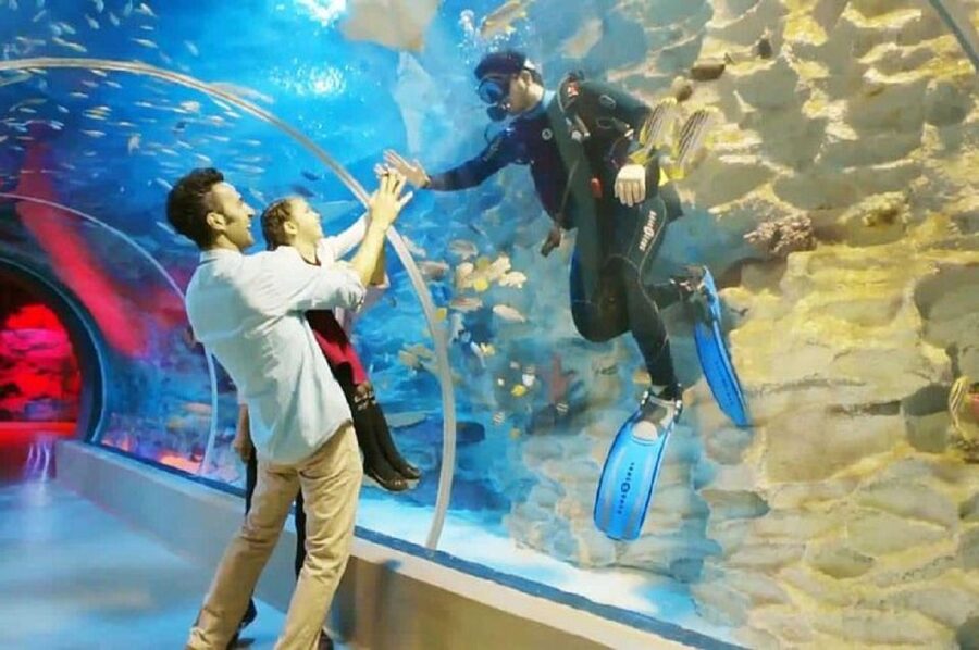 Istanbul Aquarium and Aqua Florya Shopping Mall Tour - Practical ways to get more from the five hours