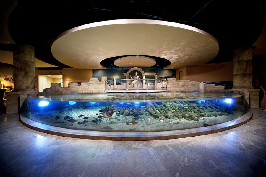 Istanbul Aquarium and Aqua Florya Shopping Mall Tour - A world tour that starts underwater