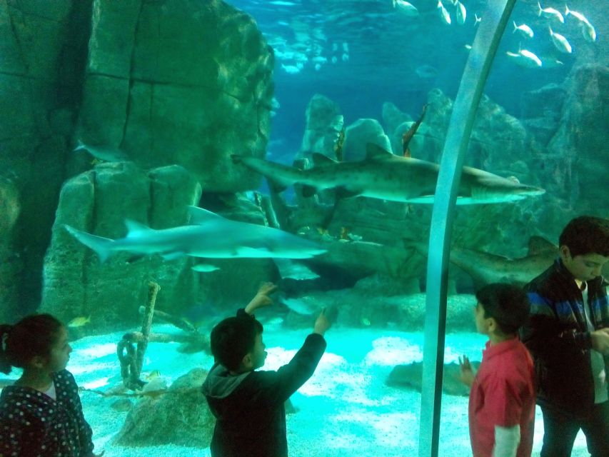 Istanbul Aquarium and Aqua Florya Shopping Mall Tour - Pickup, timing, and the European side