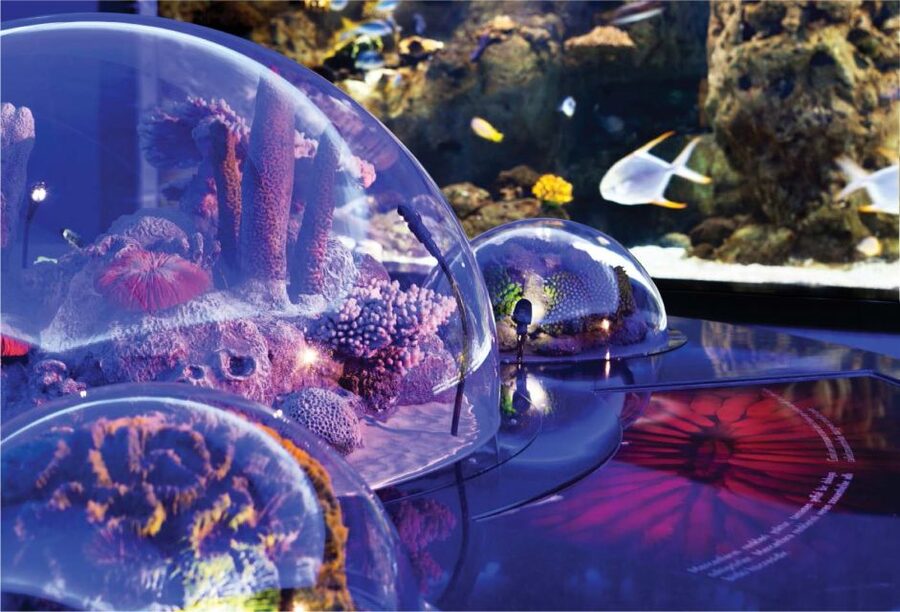 Istanbul Aquarium and Aqua Florya Shopping Mall Tour - Who will enjoy this outing most