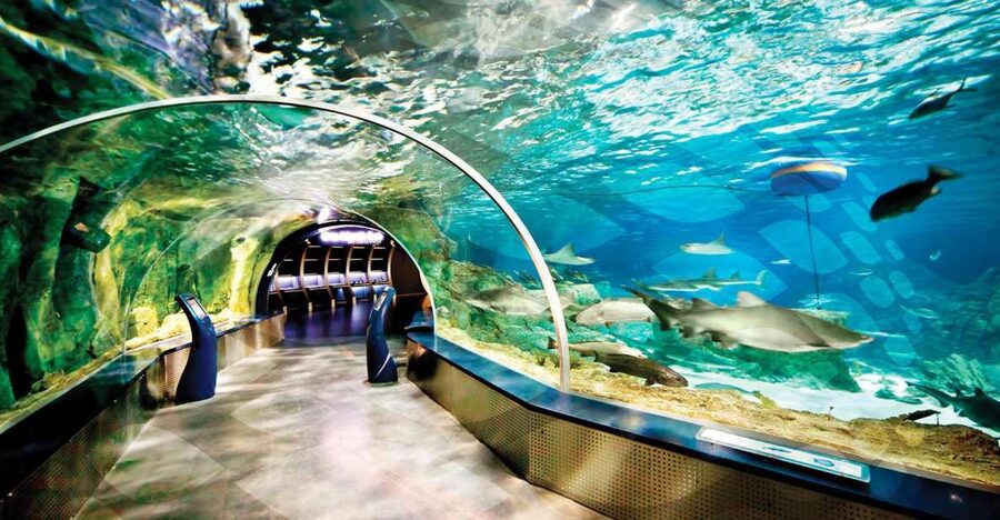 Istanbul Aquarium and Aqua Florya Shopping Mall Tour - The Amazon rainforest section deserves your attention