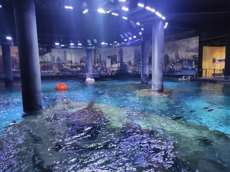 Istanbul: Aquarium Ticket and Round Trip Shuttle from Taksim - How long you actually need inside