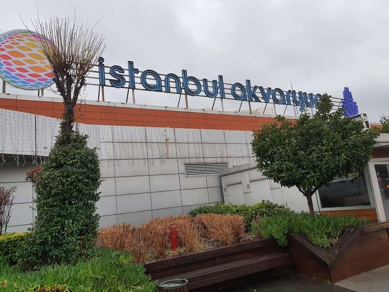 Istanbul: Aquarium Ticket and Round Trip Shuttle from Taksim - The value of the $33 price