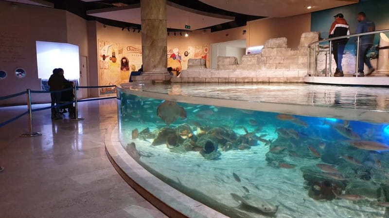 Istanbul: Aquarium Ticket and Round Trip Shuttle from Taksim - Who will enjoy this most