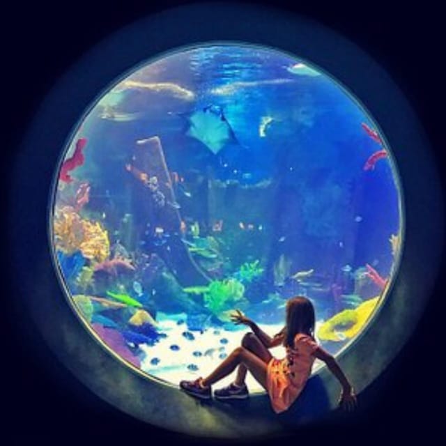 Istanbul: Aquarium Ticket with Shuttle Bus from Sultanahmet - Booking Flexibility and Practical Details