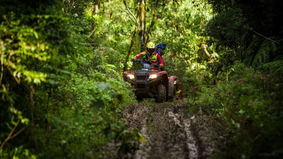 Istanbul: Belgrad Forest ATV Tour with Ziplining Option - The 30-minute transfer from Sultanahmet or Taksim