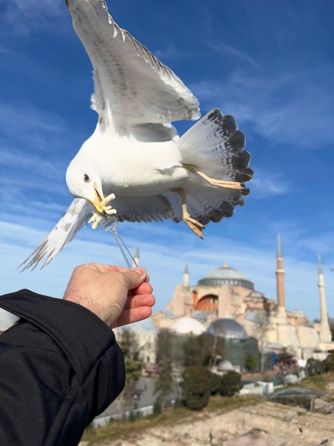 Istanbul: Best of The City Full-Day Tour with Transfers - The cool, shadowy Basilica Cistern