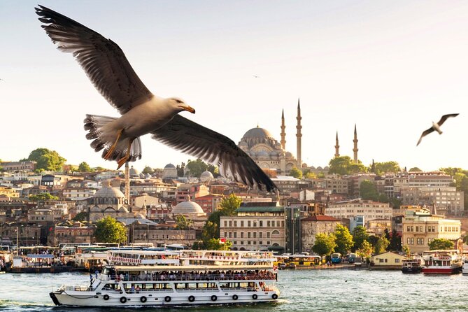Istanbul Bosphorus Boat Tour and Golden Horn Cruise Day or Sunset - Dolmabahçe Palace and Ortaköy Mosque from the water