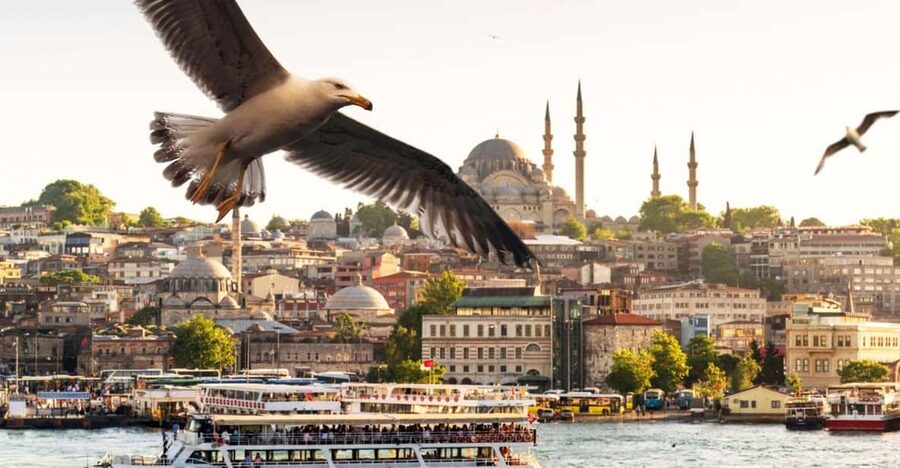 Istanbul: Bosphorus Dinner Cruise with Private Table & Show - Key points to know before booking