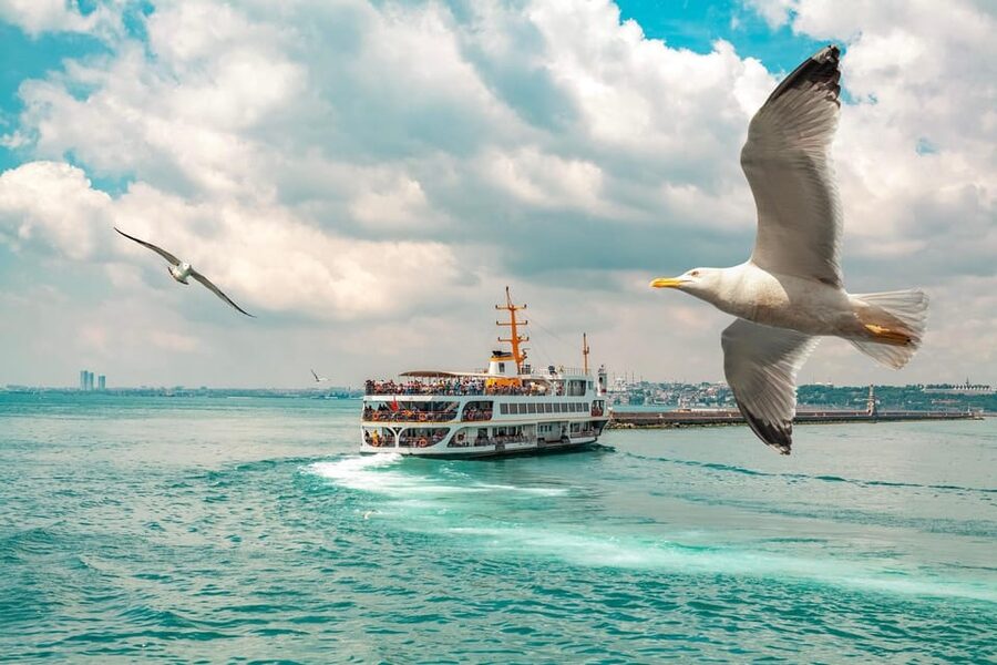 Istanbul: Bosphorus Strait Sightseeing Cruise & Audio Guide - Fatih Sultan Mehmet Bridge and the Asian shore