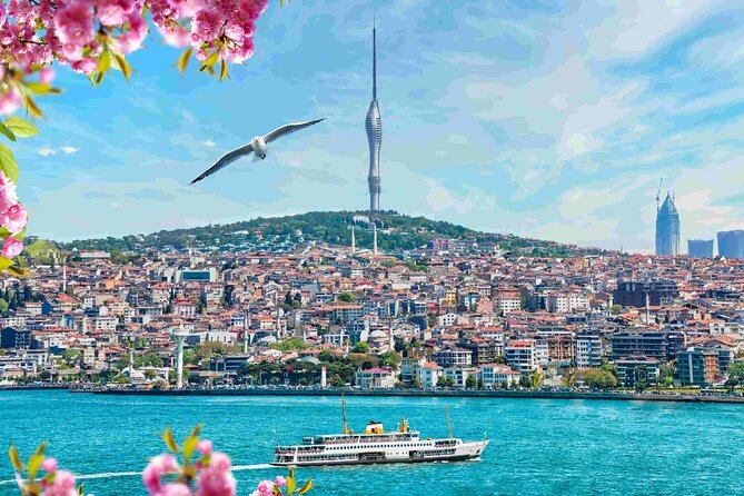 Istanbul Camlica Tower: Private Entry, Transfer & Dine Choices - Service, private arrangements, and one important warning