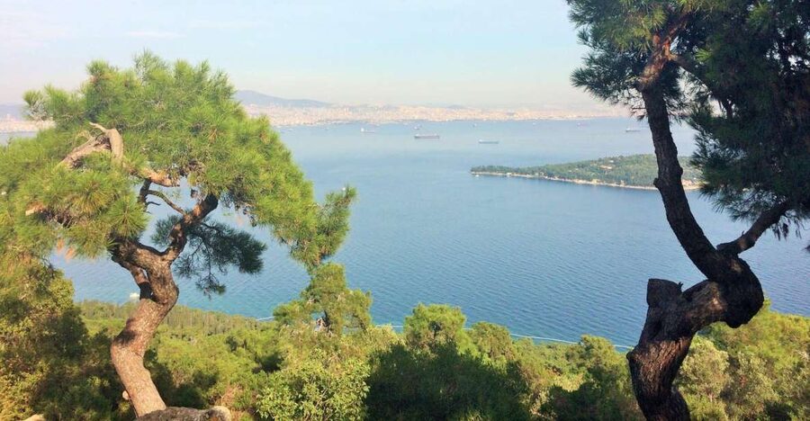 Istanbul: Day Trip to the Princes' Islands - Key points to know before you book