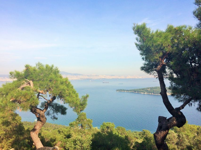 Istanbul: Day Trip to the Princes' Islands - Arriving on Büyükada