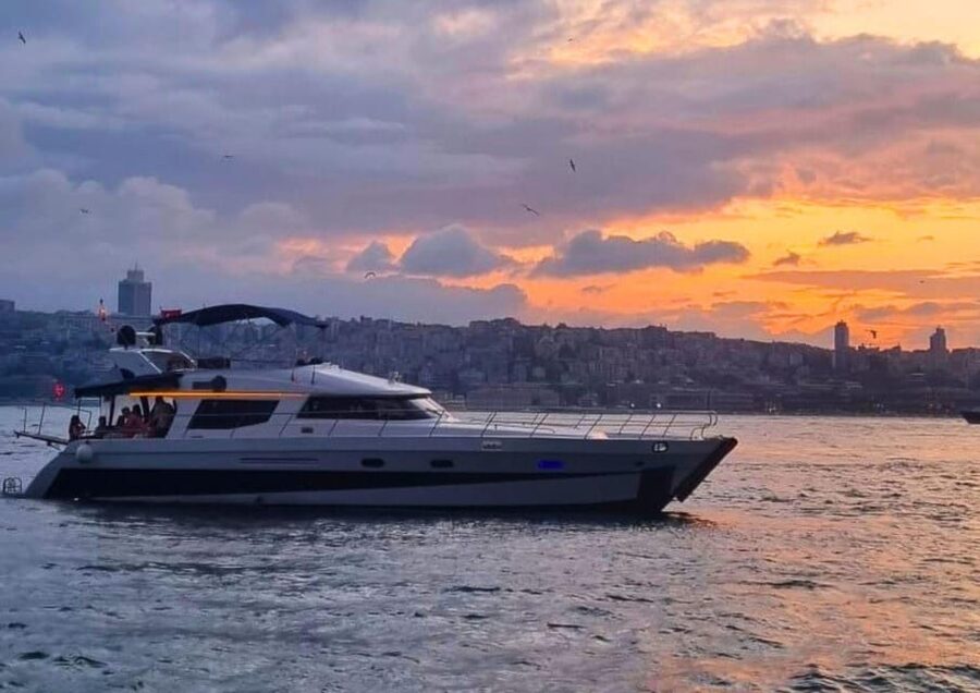Istanbul: Daytime Bosphorus Yacht Cruise with Fruit & Snacks - Comfort, weather, and who should book