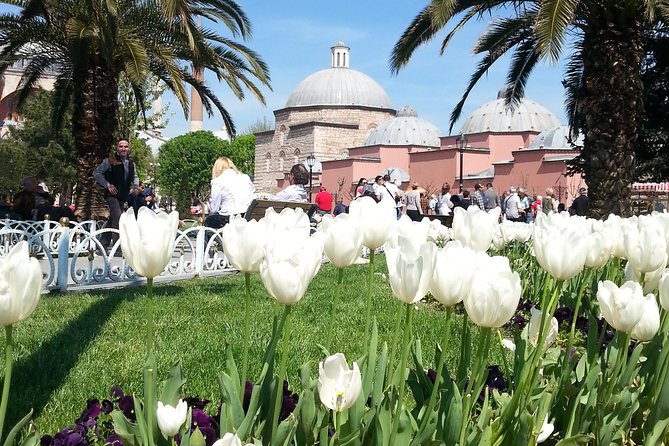 Istanbul Delights: A Journey Through Flavor and History - Blue Mosque: Ottoman design in a working place of worship